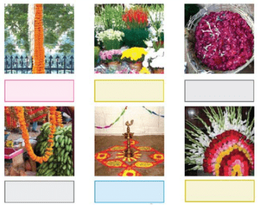 NCERT Solutions for Class 4 EVS Chapter 11 - The Valley Of Flowers