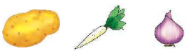 Food from Plants - 1 Class 1 Worksheet Science