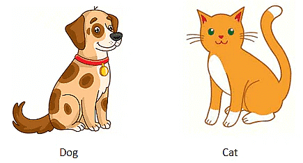 Animal Around Us | Spelling Bee - Class 1