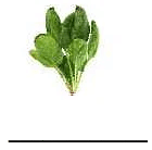 Plants Around Us - 1 Class 1 Worksheet Science