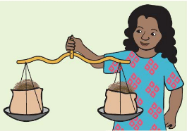 NCERT Solutions for Class 3 Maths Chapter 8 - Who Is Heavier