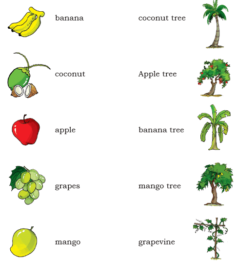 We are all Indians NCERT Solutions | English for Class 2 (Mridang)