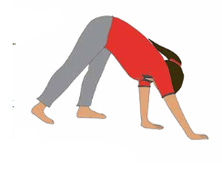Yoga Sadhana Class 4 Notes Physical Education Chapter 7 Free PDF
