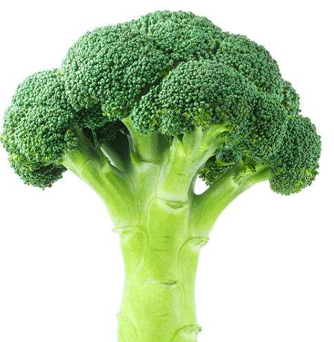 Eat Healthy Food - 2 Class 2 Worksheet Science