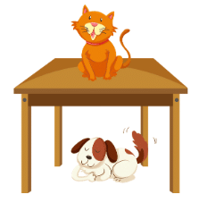 Practice Questions: Prepositions | English Olympiad Class 1
