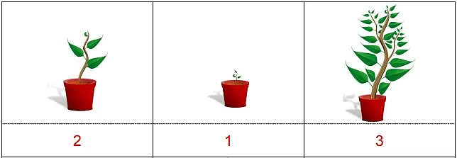 Worksheet Solutions: Lina’s Family (Measurement) - 2 | Worksheets with solutions for Class 1