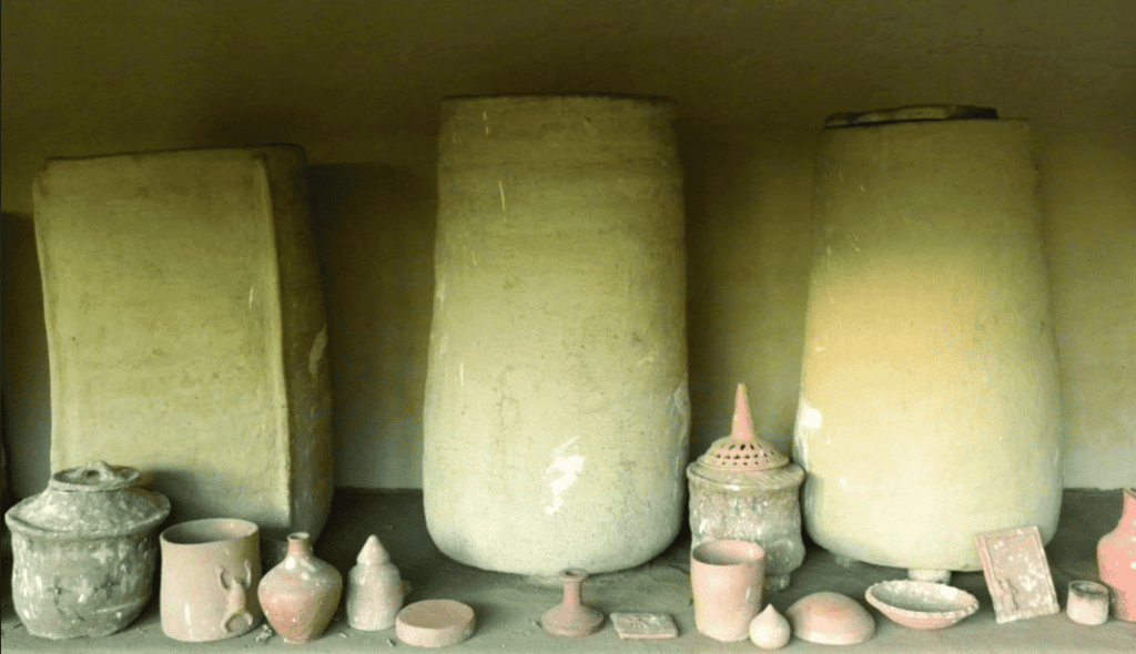 NCERT Solutions for Class 4 EVS Chapter 4 - Growing up with Nature