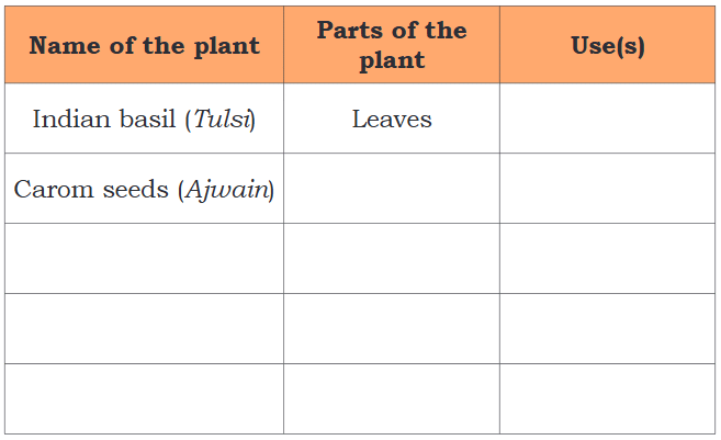 NCERT Solutions for Class 4 EVS Chapter 4 - Growing up with Nature