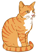 Notes: Animals - Their Babies, Sounds and Groups | English Olympiad for Class 3