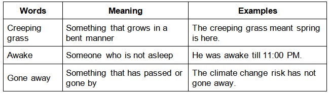 Good Morning Summary Class 3 English Unit 1