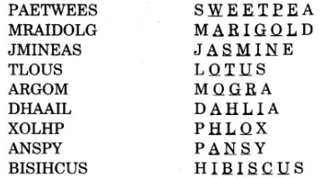 NCERT Solutions for Class 4 English - A Watering Rhyme