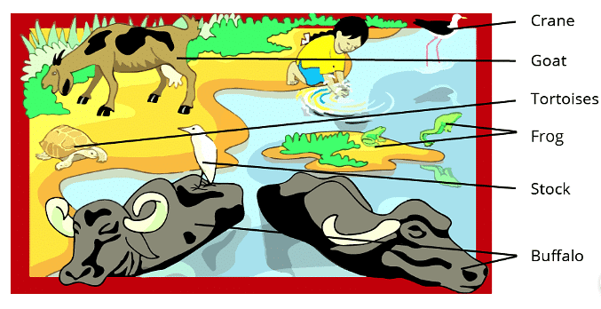 Summary: Poonam’s Day out | EVS for Class 3