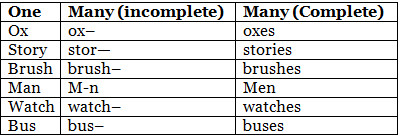 Singular & Plural | English Grammar for Junior Classes - Class 1