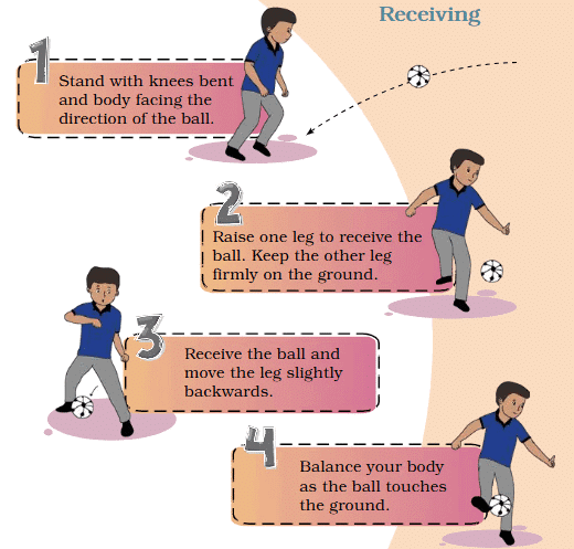 Kicking and Receiving Class 4 Notes Physical Education Chapter 2 Free PDF