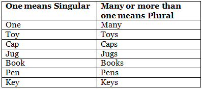 Singular & Plural | English Grammar for Junior Classes - Class 1