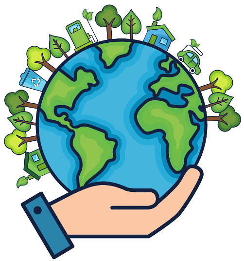 Our Environment - 1 Class 3 Worksheet Science
