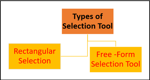 MS- Paint | Computer Science for Class 3