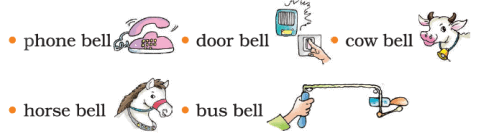 Haldi’s Adventure NCERT Solutions | NCERT Textbooks & Solutions (Class 1 to Class 5) - DSSSB TGT/PGT/PRT