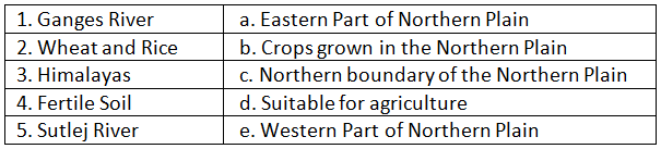 The Northern Plain - 2 Class 4 Worksheet SST