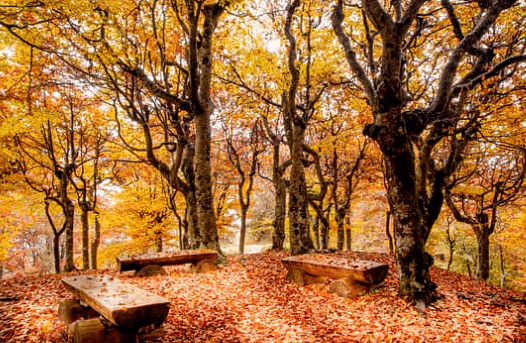 Which Season is it? Chapter Notes | Mathematics for Class 2 (Joyful-Mathematics)