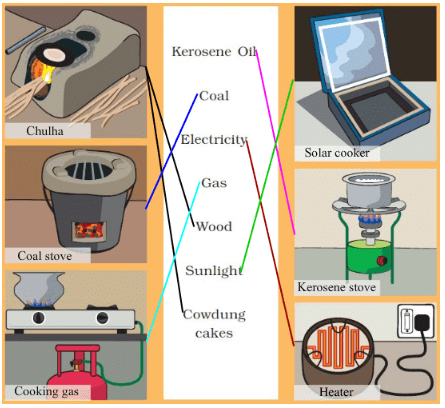What is Cooking NCERT Solutions | EVS for Class 3
