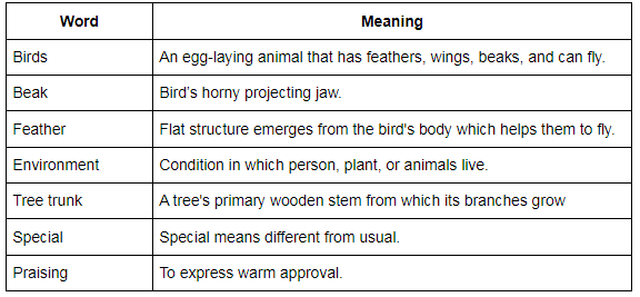 Summary: Flying High | EVS for Class 3