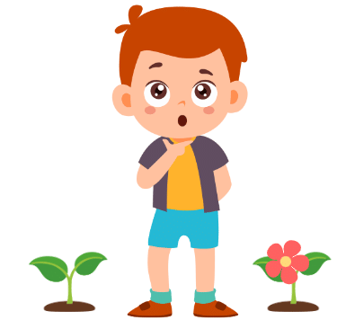 Which Season is it? Chapter Notes | Mathematics for Class 2 (Joyful-Mathematics)