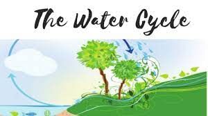 The Water Cycle Summary Class 3 English Alive Chapter 6