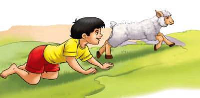 Short Answer Questions: It is Fun | English for Class 2 (Mridang)
