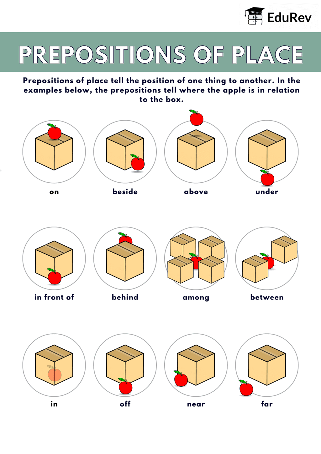 Let`s Learn: Preposition | English Grammar for Junior Classes - Class 1