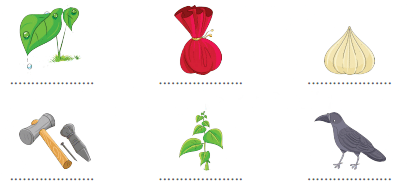 शब्दों का खेल