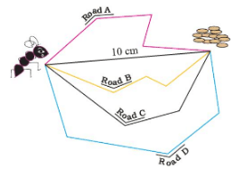 NCERT Solutions for Class 3 Maths - Long And Short