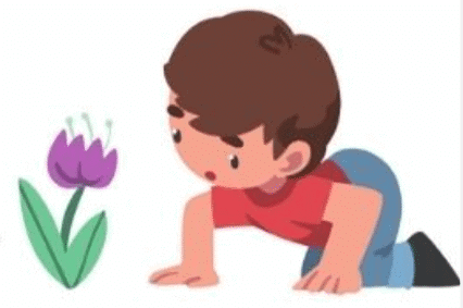 Why ? Chapter Notes | English for Class 4
