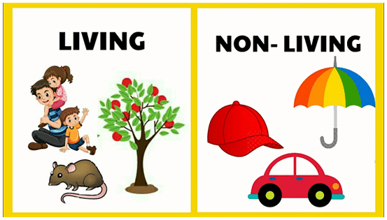 Living and Non-living Things Chapter Notes | Science Olympiad for Class 2