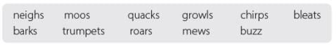 Worksheet 4 - Writing | Worksheets with solutions for Class 3
