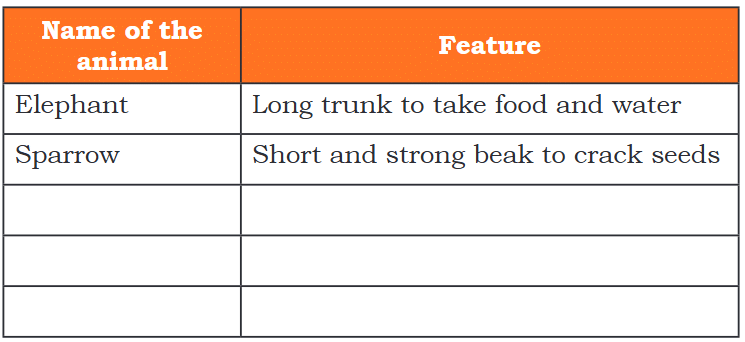NCERT Solutions for Class 4 EVS Chapter 3 - Nature Trail