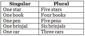 Singular & Plural | English Grammar for Junior Classes - Class 1