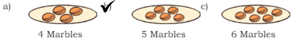 Fair Share Chapter Notes | Mathematics for Class 3 (Maths Mela)