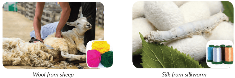 Clothes â€“ Our Protection Class 4 Notes Science