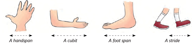Understanding Measurement Units