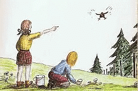 Worksheet Solutions: Flying High - 1 | EVS for Class 3