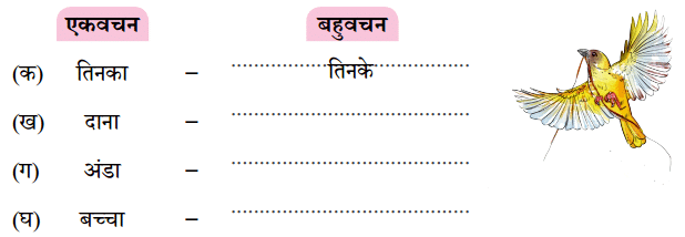 बया हमारी चिड़िया रानी! NCERT Solutions | Hindi for Class 3 (वीणा)