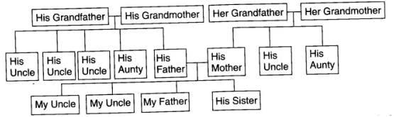 NCERT Solutions for Class 4 EVS Chapter 9 - Changing Families