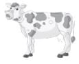 Worksheet 4 - Writing | Worksheets with solutions for Class 3