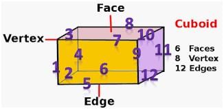 Building With Bricks - 1 Class 4 Worksheet SST