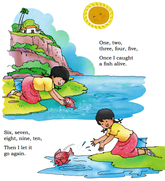 Picture Time NCERT Solutions | English for Class 1 (Mridang)