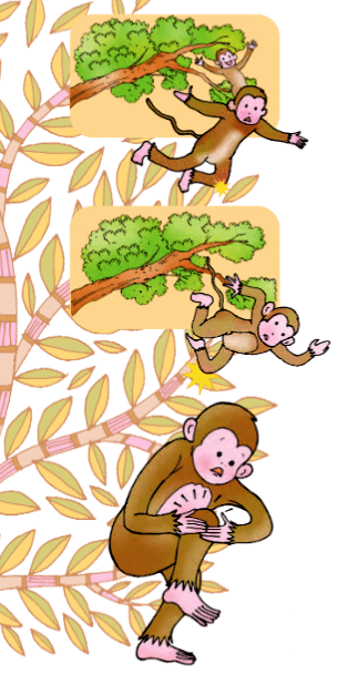 Picture Time NCERT Solutions | English for Class 1 (Mridang)