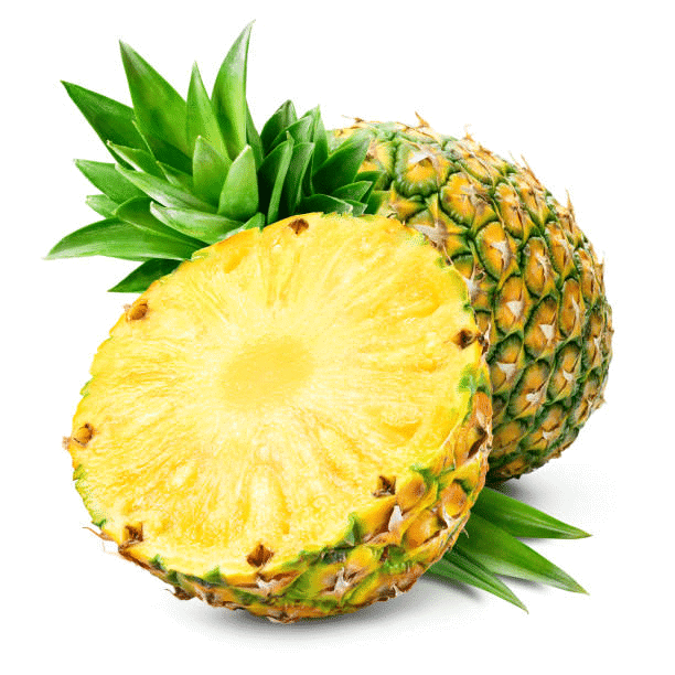 Worksheet Solutions: Trees, Plants, Flowers and Fruits | Spelling Bee - Class 1