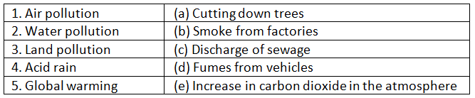 Our Environment - 2 Class 6 Worksheet Science