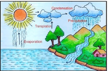 Weather, Water and Air - 1 Class 4 Worksheet Science